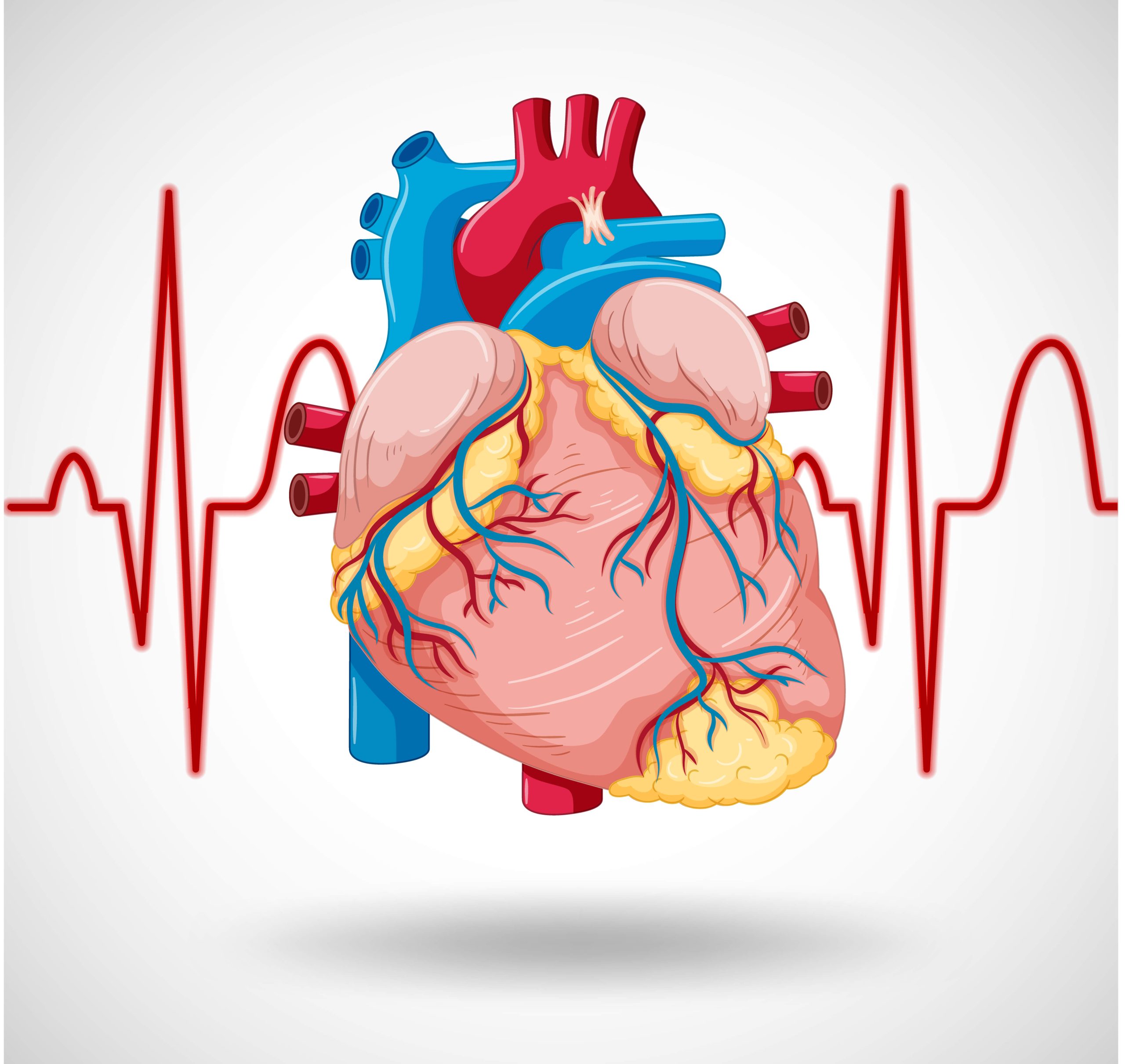 Cardiology